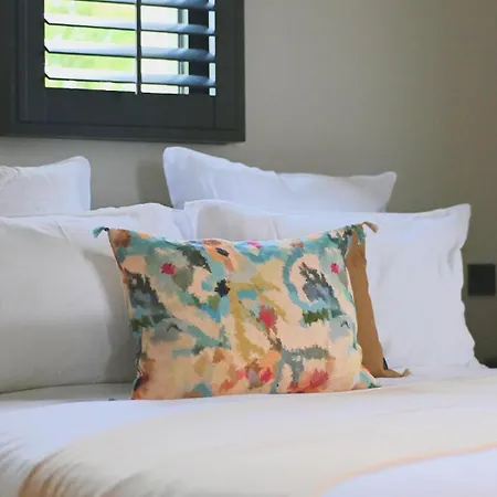 Les De La D'hiver Palissy 4* Arcachon