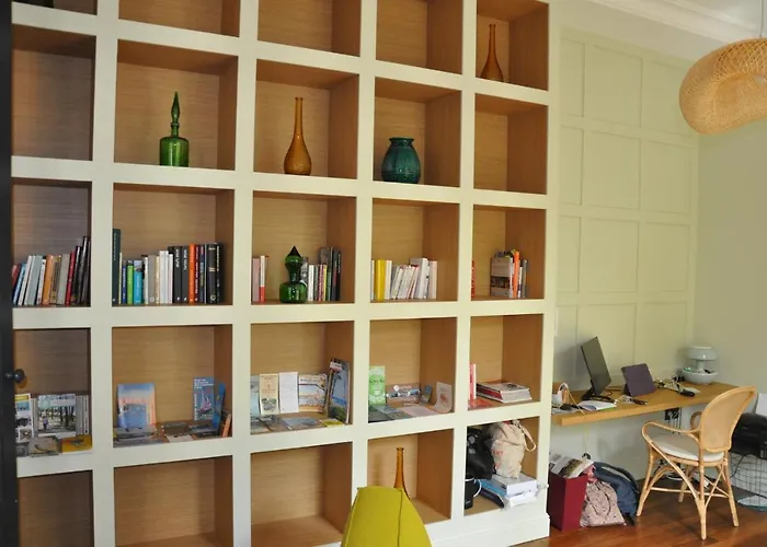 Les De La D'hiver Palissy Et Velleda Arcachon