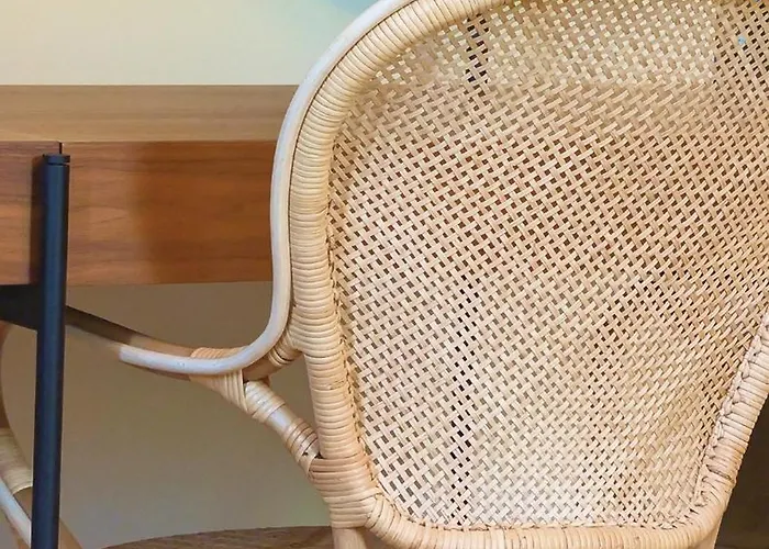 Les De La D'hiver Palissy Et Velleda