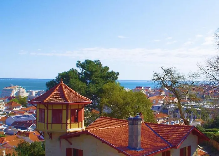 Les De La D'hiver Palissy Et Velleda