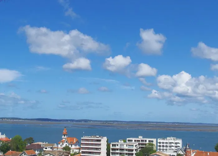 Les De La D'hiver Palissy Et Velleda Konukevi